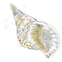 Citron Shell Sketch II Framed Print