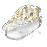 Citron Shell Sketch IV Framed Print