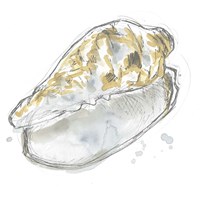 Citron Shell Sketch IV Fine Art Print