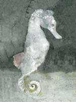 Aquatic II Fine Art Print