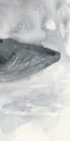 Blue Whale Triptych III Fine Art Print