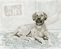 Dog Study I Fine Art Print