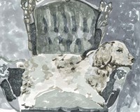 Dog Study II Fine Art Print