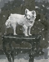 Dog Study III Fine Art Print