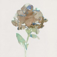 Modern Bloom II Fine Art Print