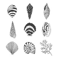 Sea Whispers I Fine Art Print