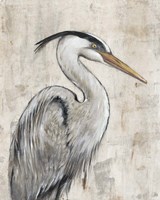Grey Heron I Fine Art Print