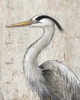 Grey Heron II Fine Art Print