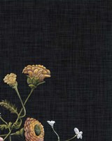 Baroque Grid IV Fine Art Print