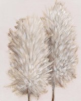 Pampas Grass III Framed Print