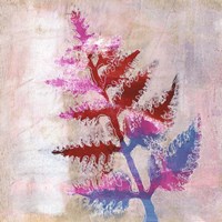 Dappled Fern I Fine Art Print