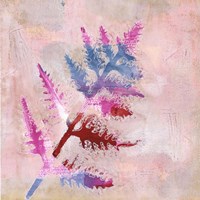 Dappled Fern II Fine Art Print