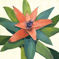 Tropical III Fine Art Print