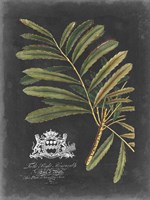 Royal Foliage II Fine Art Print