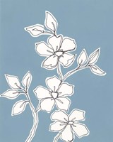 Botanic Drawing III Fine Art Print