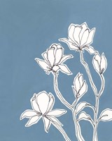 Botanic Drawing IV Fine Art Print