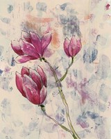 Rosa Blume II Fine Art Print