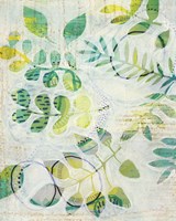 Leaf Relics III Fine Art Print