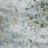 Seasonal Transition III Fine Art Print