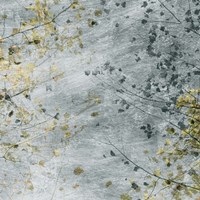 Seasonal Transition IV Fine Art Print