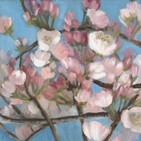 Cherry Blossoms I Fine Art Print