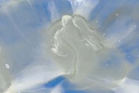 Being One I Fine Art Print