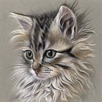 Kitten Portrait I Fine Art Print