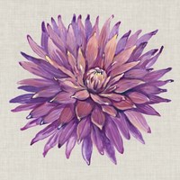 Floral Portrait on Linen II Fine Art Print