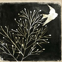 Black Night I Framed Print