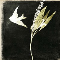 Black Night II Fine Art Print