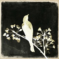 Black Night III Fine Art Print