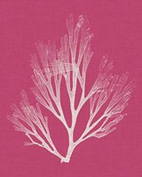 Seaweed Pop III Framed Print