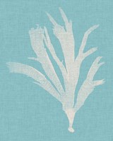 Seaweed Pop IV Framed Print