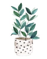 Plant in a Pot I Framed Print