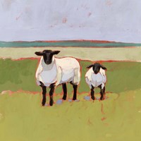 Suffolk Sheep I Fine Art Print