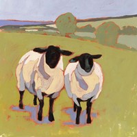 Suffolk Sheep IV Fine Art Print