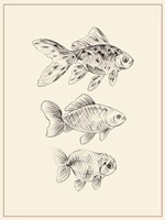 Goldfish I Fine Art Print