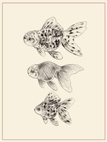 Goldfish II Fine Art Print