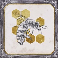 Pursue Sweetness II Fine Art Print