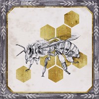 Pursue Sweetness III Fine Art Print