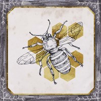 Pursue Sweetness IV Fine Art Print