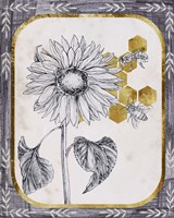 Pursue Sweetness V Fine Art Print