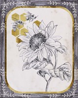 Pursue Sweetness VI Fine Art Print