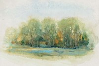 Forest Vignette I Framed Print