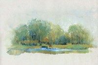 Forest Vignette II Framed Print