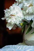 White Peonies In Cream Pitcher 4 Fine Art Print