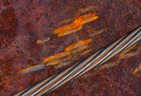 Rust Abstract Fine Art Print