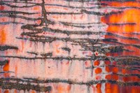 Details Of Rust And Paint On Metal 3 Fine Art Print