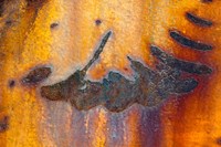 Details Of Rust And Paint On Metal 6 Fine Art Print