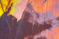 Details Of Rust And Paint On Metal 13 Fine Art Print